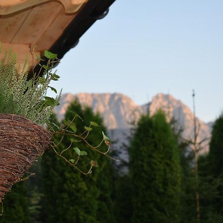 Fiedorowka Villa Zakopane Exteriör bild