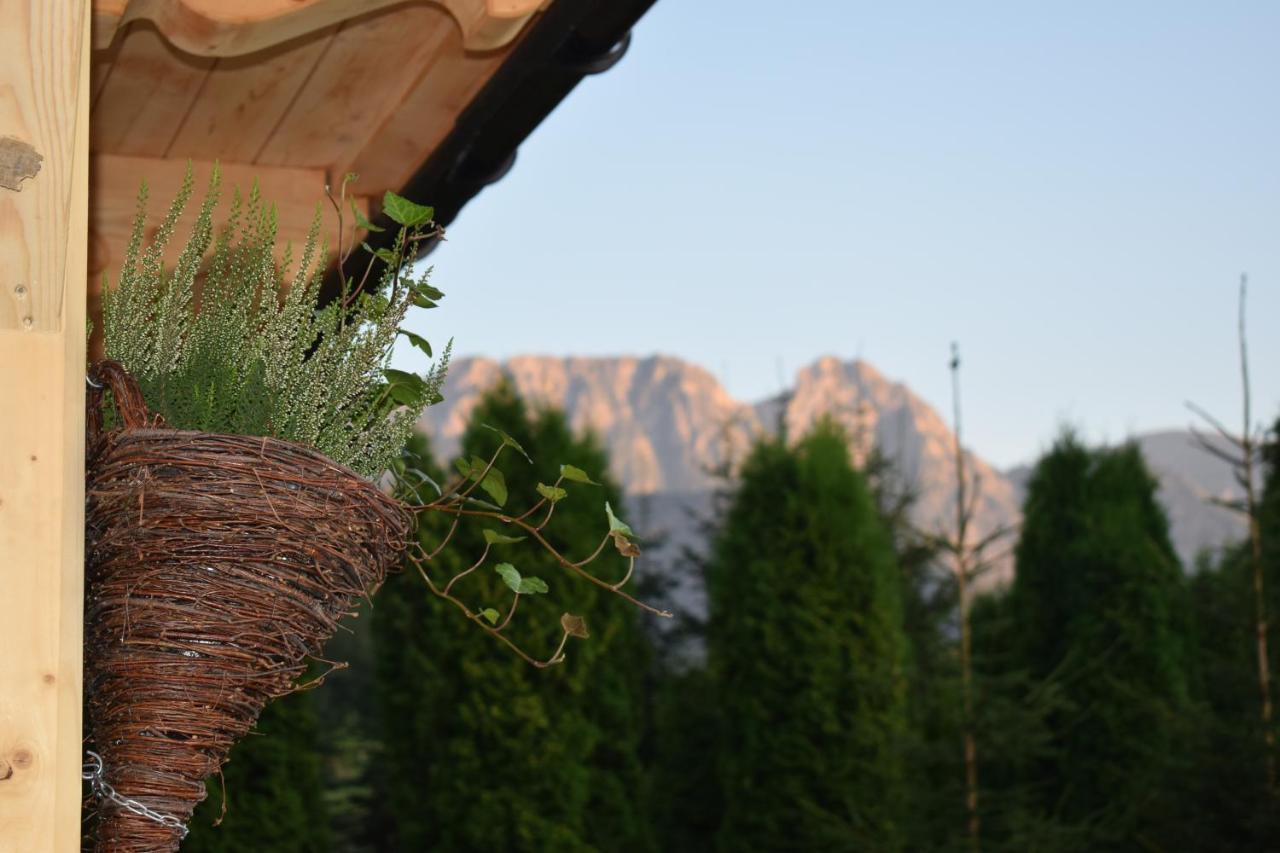 Fiedorowka Villa Zakopane Exteriör bild