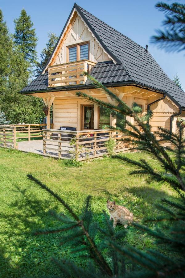 Fiedorowka Villa Zakopane Exteriör bild