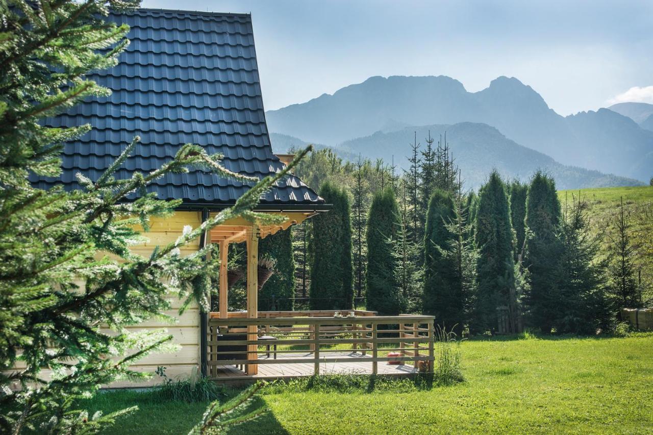 Fiedorowka Villa Zakopane Exteriör bild