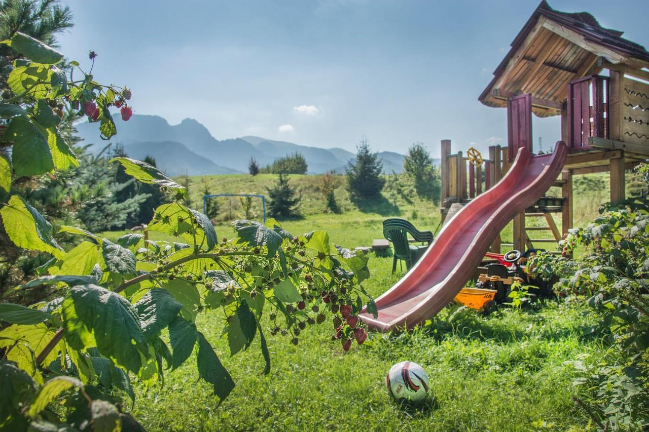 Fiedorowka Villa Zakopane Exteriör bild