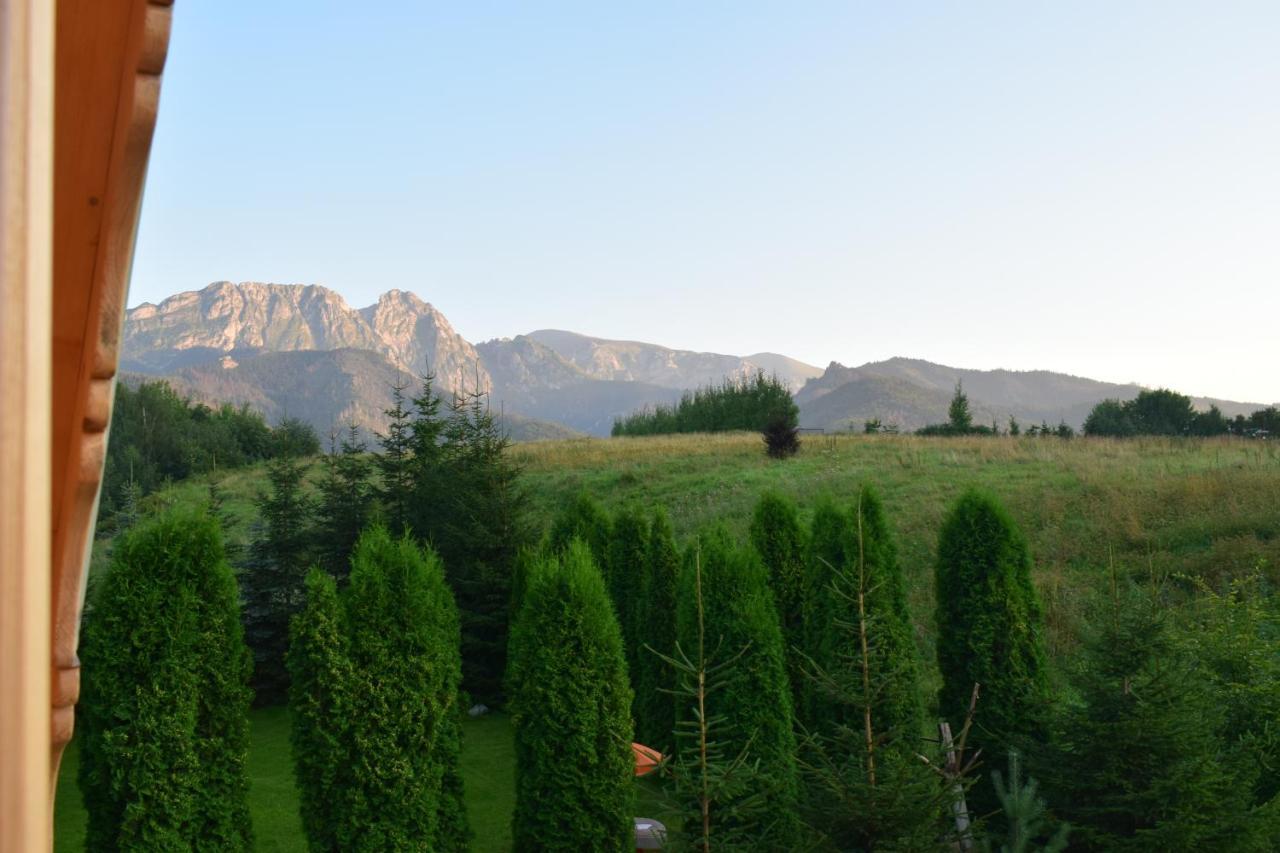 Fiedorowka Villa Zakopane Exteriör bild