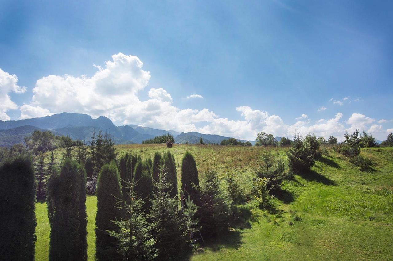 Fiedorowka Villa Zakopane Exteriör bild